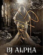 BJ Alpha - Carrera Family 01 - Stone.jpg